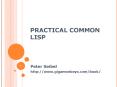 PRACTICAL COMMON LISP PowerPoint PPT Presentation