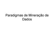 Paradigmas de Minera