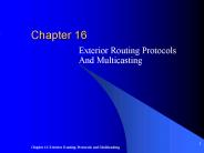 Exterior Routing Protocols