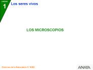 Diapositiva 1