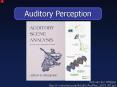 Auditory Perception P1 PowerPoint PPT Presentation
