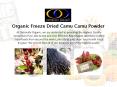 Organic Freeze Dried Camu Camu Powder PowerPoint PPT Presentation