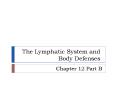 The Lymphatic System  and Body Defenses  Chapter 12b PowerPoint PPT Presentation