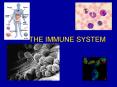 THE IMMUNE SYSTEM PowerPoint PPT Presentation