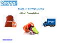 Soapp laundry and dry cleaning for perfect wash PowerPoint PPT Presentation