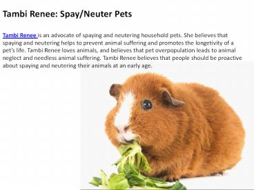 Tambi Renee: Spay/Neuter Pets