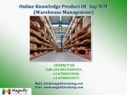 Online Knowledge Product Of   Sap WM (Warehouse Management)