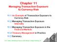 Chapter 11 Managing Transaction Exposure to Currency Risk PowerPoint PPT Presentation