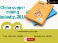 China Copper Mining Industry Report 2014 PowerPoint PPT Presentation