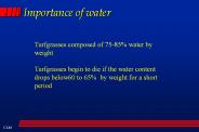 Importance of water
