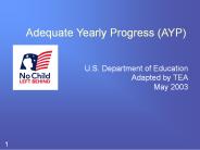 Adequate Yearly Progress (AYP)