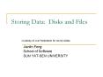Storing Data: Disks and Files PowerPoint PPT Presentation