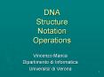 DNA Structure Notation Operations PowerPoint PPT Presentation