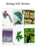 Biology EOC Review PowerPoint PPT Presentation