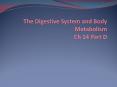 The Digestive System and Body Metabolism Ch 14 Part D PowerPoint PPT Presentation