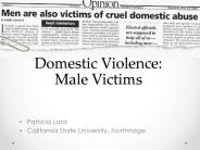 Domestic Violence: Male Victims