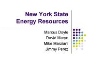 New York State Energy Resources