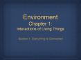 Environment Chapter 1: Interactions of Living Things PowerPoint PPT Presentation