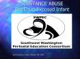 SUBSTANCE ABUSE The Drug-Exposed Infant PowerPoint PPT Presentation