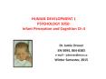 HUMAN DEVELOPMENT 1 PSYCHOLOGY 3050: Infant Perception and Cognition Ch 4 PowerPoint PPT Presentation