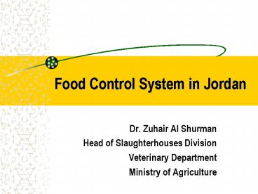 Food Control System in Jordan