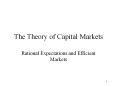 The Theory of Capital Markets PowerPoint PPT Presentation