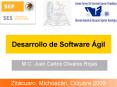 Desarrollo de Software  PowerPoint PPT Presentation