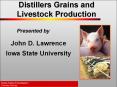 Distillers Grains and Livestock Production PowerPoint PPT Presentation