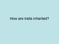 How are traits inherited? PowerPoint PPT Presentation