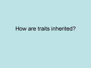 How are traits inherited?