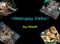 ?Margay Cats? PowerPoint PPT Presentation