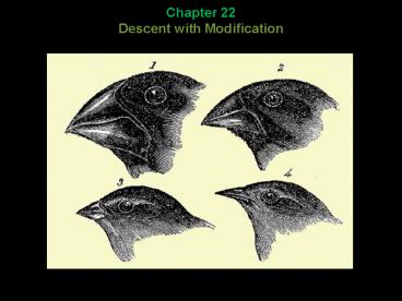 Chapter 22 Descent with Modification