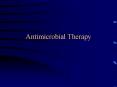 Antimicrobial Therapy PowerPoint PPT Presentation