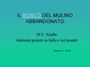 Di E. Scialla