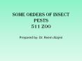 Some Orders of Insect Pests PowerPoint PPT Presentation
