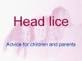 Head lice PowerPoint PPT Presentation