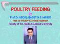 POULTRY FEEDING By Prof.Dr.ABDEL-BASET N.S.AHMED Prof. of Poultry PowerPoint PPT Presentation