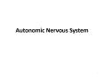 Autonomic Nervous System PowerPoint PPT Presentation