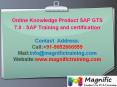 Online Knowledge Product SAP GTS 7.0 - SAP Training and certification PowerPoint PPT Presentation