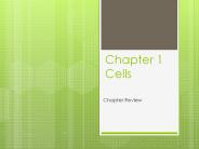 Chapter 1 Cells