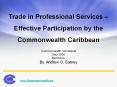 Trade in Professional Services  PowerPoint PPT Presentation
