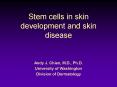 Stem cells in skin development and skin disease PowerPoint PPT Presentation