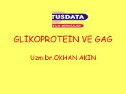 GLIKOPROTEIN VE GAG