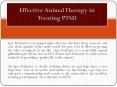 Effective Animal Therapy in Treating PTSD PowerPoint PPT Presentation