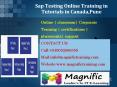 Sap Testing Online Training in Tutorials in Canada,Pune PowerPoint PPT Presentation