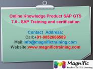 sap gts training@magnifictraining