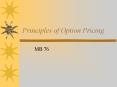 Principles of Option Pricing PowerPoint PPT Presentation