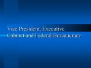 Vice President, Executive Cabinet and Federal Bureaucracy