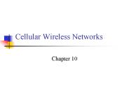 Cellular Wireless Networks
