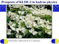 Prospects of KLOE-2 in hadron physics PowerPoint PPT Presentation